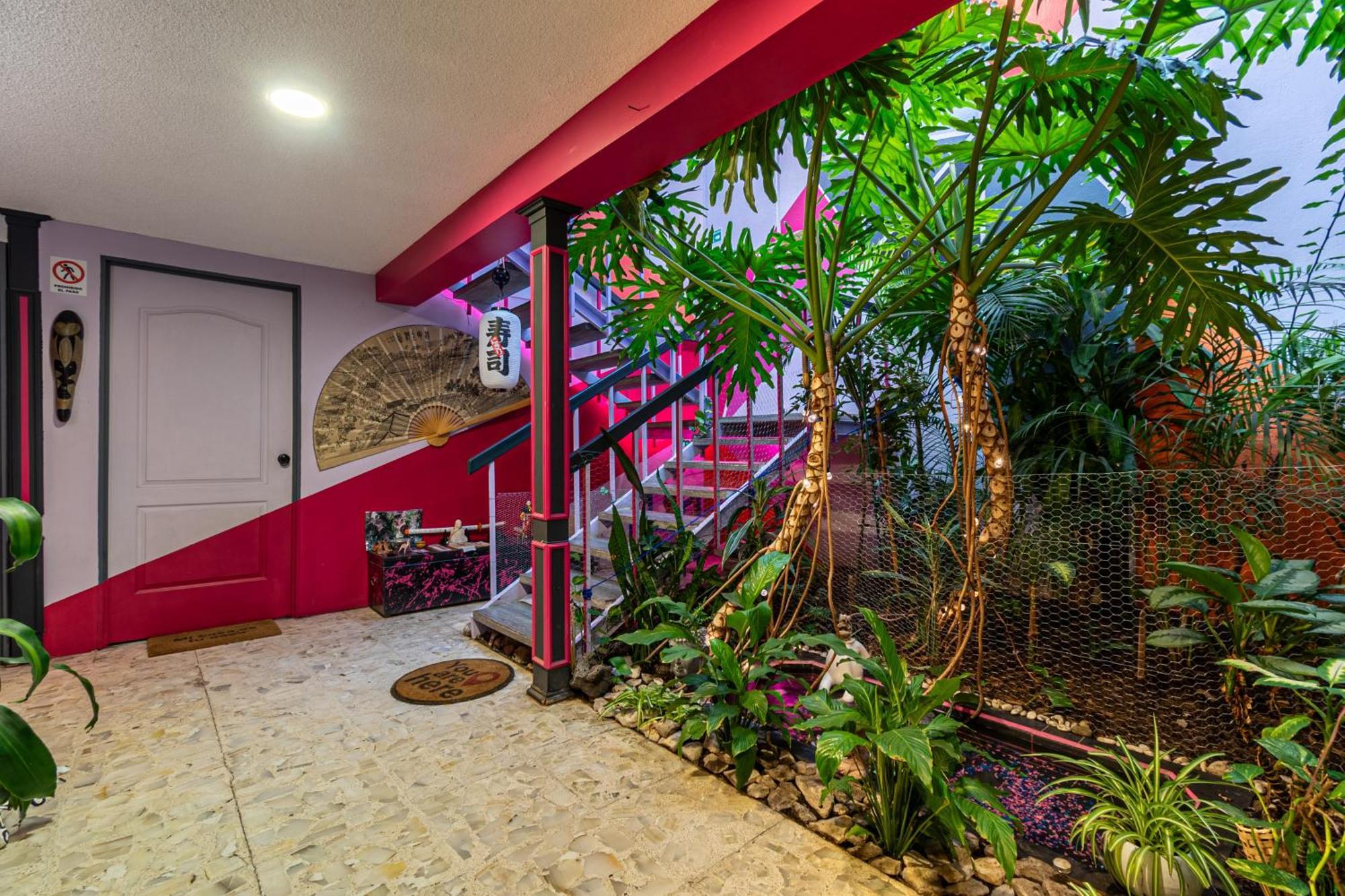 Posada Bugambilia — Photos 2